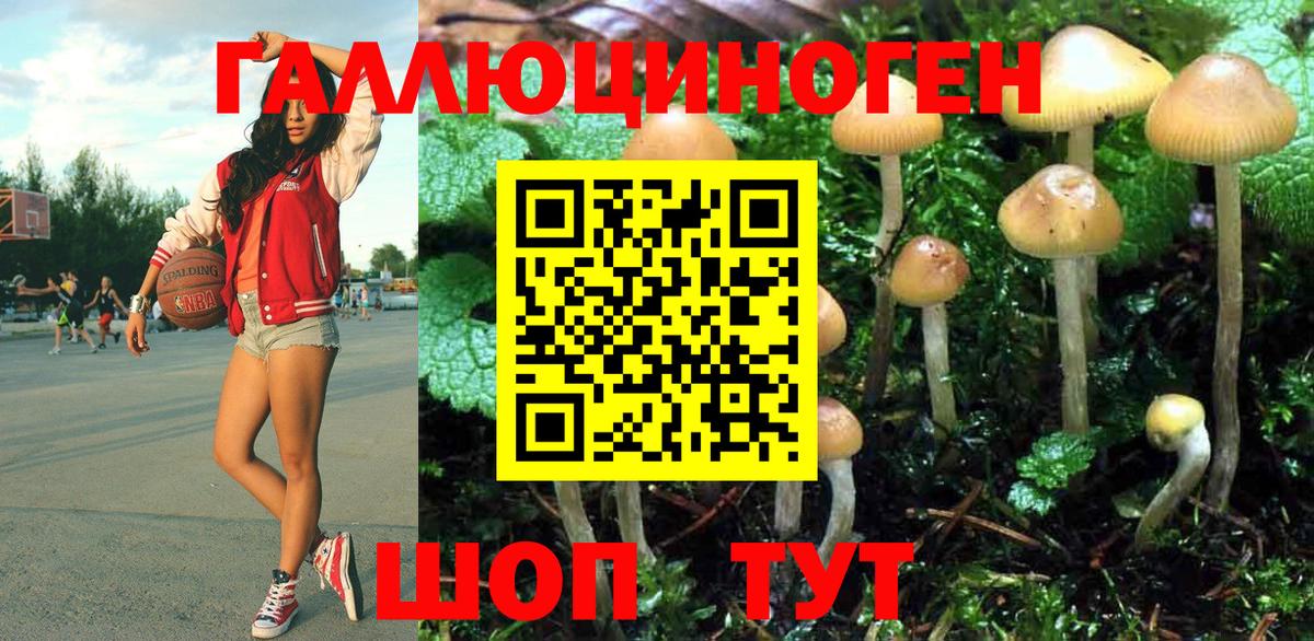 Вольск  Галлюциногенные грибы ЛСД  Вход с VPN 